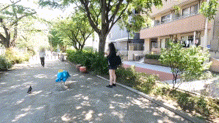 maj010【Yちゃん】 エロGIF 1
