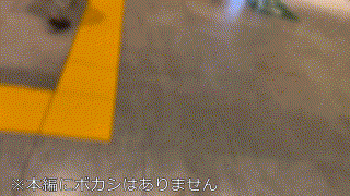 instc537【ようこ】小川葉子 エロGIF 1