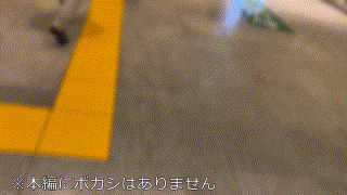 instc540【めい 2】九十九メイ エロGIF 1
