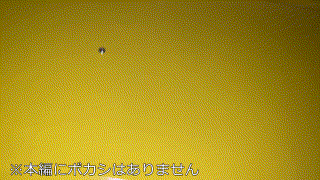 gobuc045【オホ声ガリ勉/都内偏差値67】 エロGIF 2