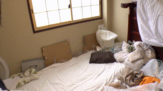 ssk103【RENA 2】児玉れな エロGIF 2