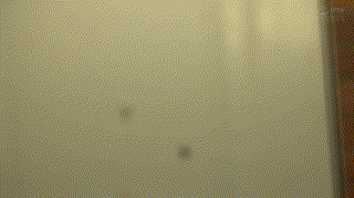 shinki133【K133ちゃん】柏木こなつ