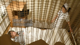 dht511【ひとみさん】