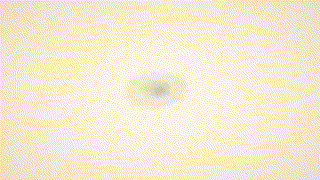 dht785【まゆみさん】