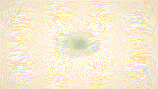 dht786【小林さん】