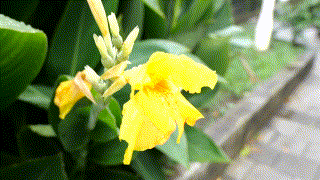 bmyb202【紗耶香】美波咲良