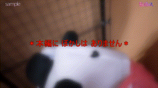 fots041【笹●さん】