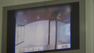 fan215【れな 3】児玉れな