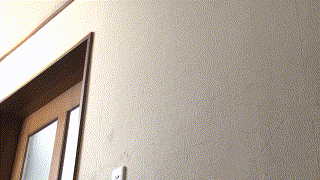 gjkz524【みお＆みさき】