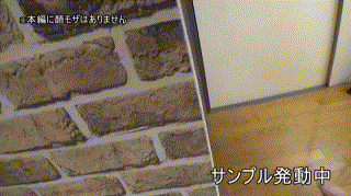 hamenets183【いおり 2】羽生アリサ