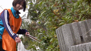 oremo397【R】水崎瑠華