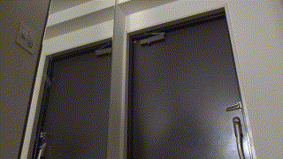 gjkz527【百合香】